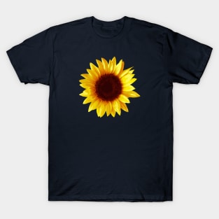 Gold Yellow Sunflower Abstract Nature Art T-Shirt